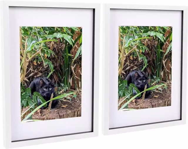 Nicola Spring Pack of 2 White Rectangular 3D Box Photo Frames with A4 Mounts, W 42.0 cm x H 29.7 cm