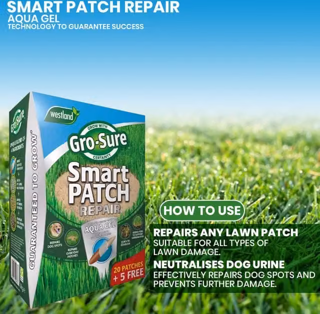 Gro-Sure Smart Patch Lawn Seed Multicolour
