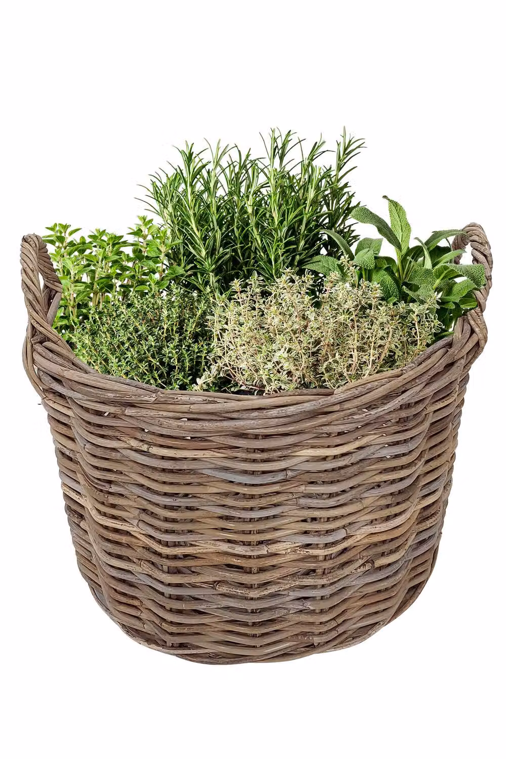 Dibor Traditional Round Grey Rattan Indoor Planter Basket with Handles – 2