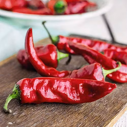 Thompson & Morgan Anaheim Chilli Pepper Seeds, Moderately Hot Annual Vegetable Seeds, 1 Packet