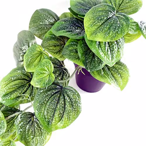 Botanik Potted Artificial Pothos Plant in Green and Black, Height: 35 cm – 3