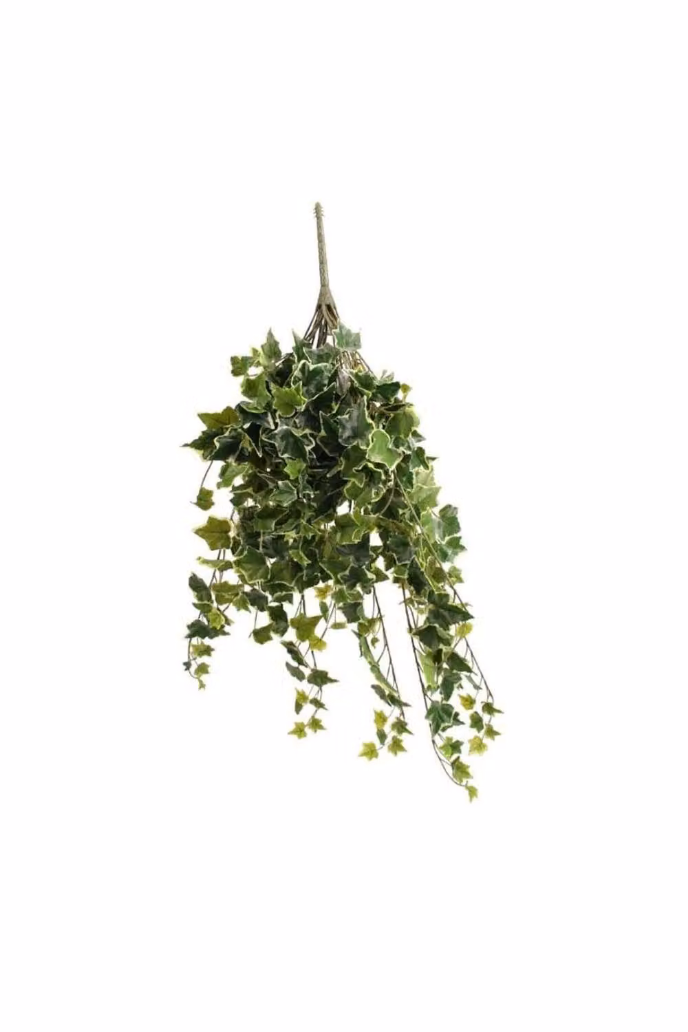 KDMD Sandringham Variegated Green Ivy Bush with 336 Leaves – 2