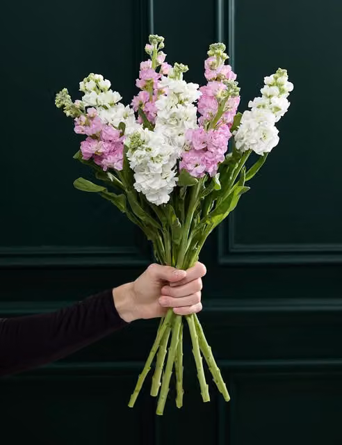 M&S Flower Market Organic Multicolour Stock Abundance Bouquet