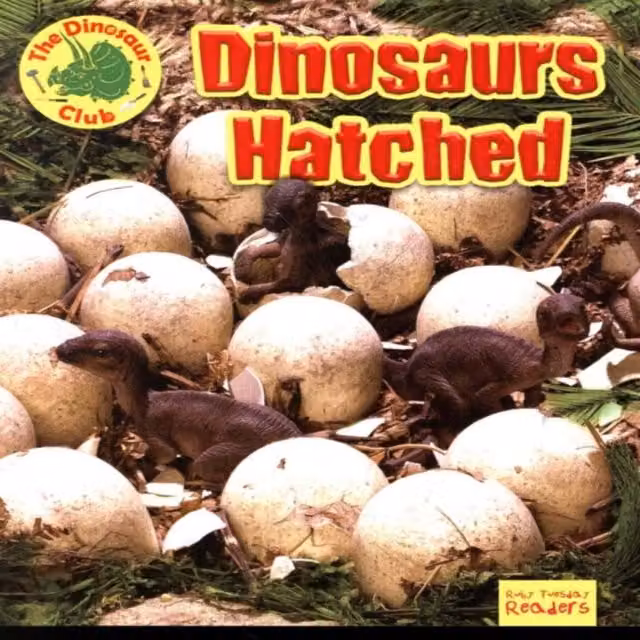 Dinosaurs Hatched by Ruth Owen, Multicolour Paperback Book