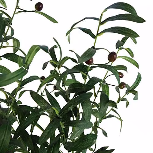 Leaf Design UK 120cm Artificial Green Olive Tree in a Black Plastic Pot – 3