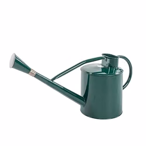 Kent & Stowe Classic Long Reach Galvanised Steel Watering Can with Rose Head, Green, 9L