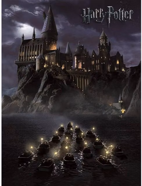 Harry Potter Hogwarts Typography Canvas Wall Print in Grey