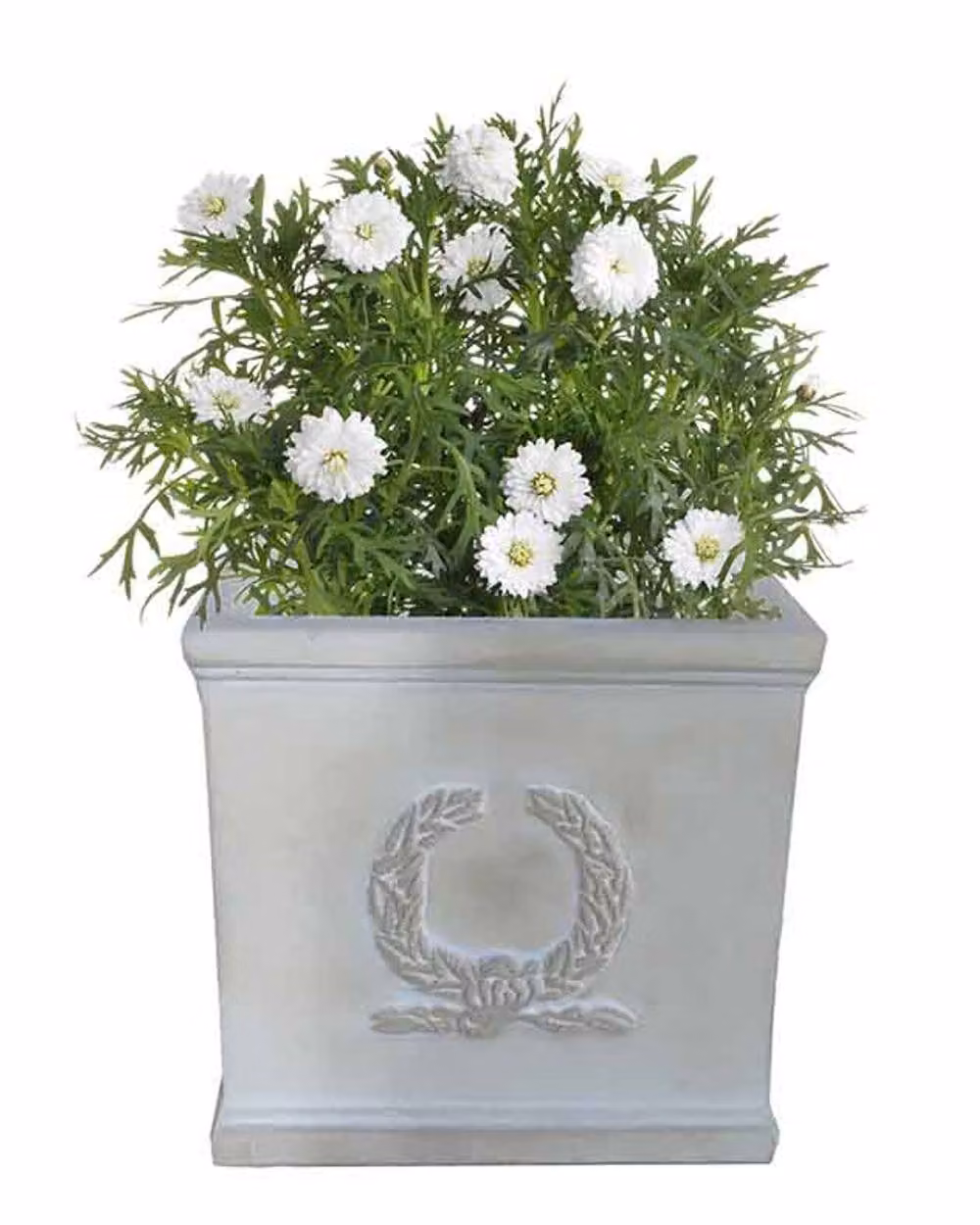 Dibor Beige Medium Fibreclay Outdoor Garden Planter Pot W: 30.5 cm, D: 30.0 cm – 2