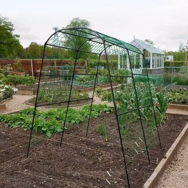 Hinsinc U Frame Black Garden Cucumber Trellis Support, W: 120 cm, H: 222 cm