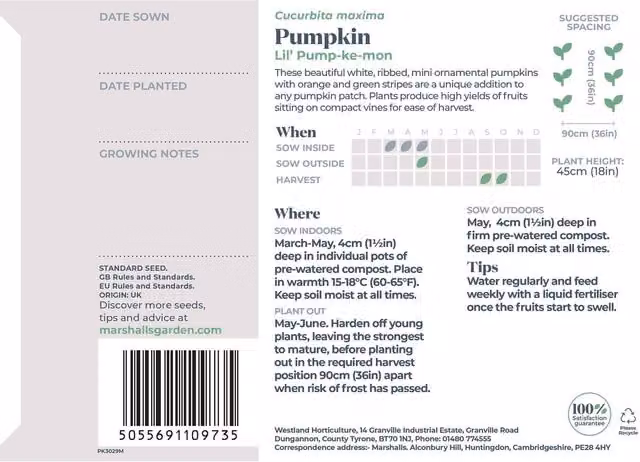 Marshalls Garden Lil' Pump-ke-mon' White Ribbed Mini Pumpkin Seeds