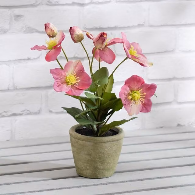 Scottish Everlastings Ltd Pink Hellebore Potted Floral Ceramic Tabletop Plant – 1