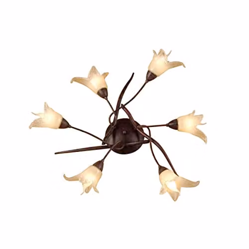 Netlighting Florida 6 Light Ceiling Lamp, Brown and Black Oxide with Glass, E14 – 1