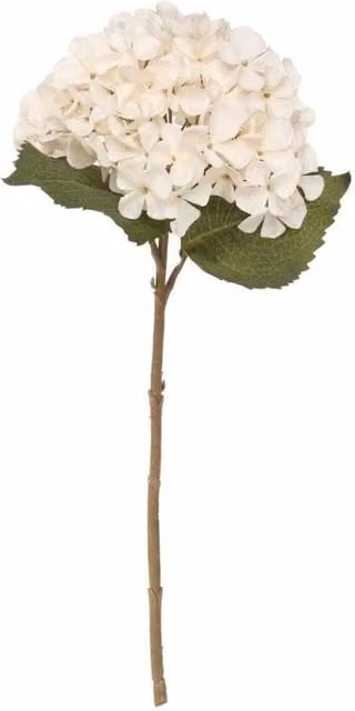 KDMD Balmoral Cream and White Hydrangea Floral Arrangement, 2 Pack, Height: 45 cm – 1