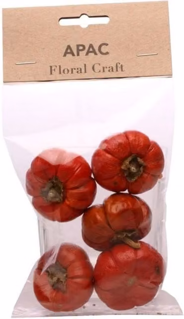 KDMD Pack of 3 Red Dried Mini Pumpkins Plastic Figures