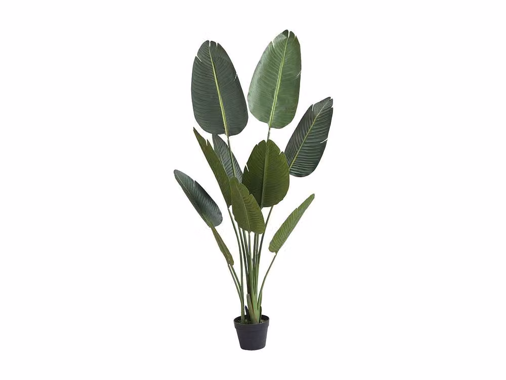 NENDAZ Artificial Banana Tree with Pot in Green, Height: 160 cm – 2