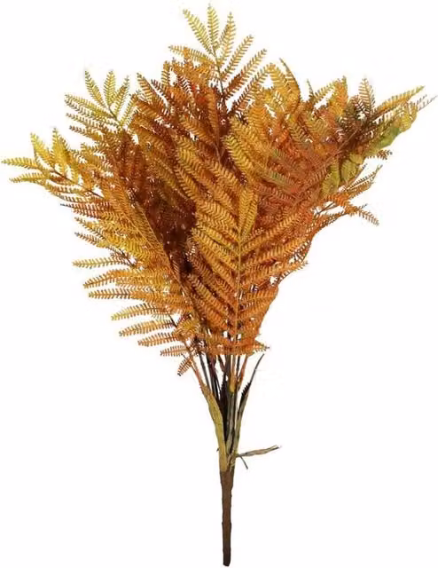 KDMD Essential Autumn Fern Green Plant in Orange, Height: 58 cm