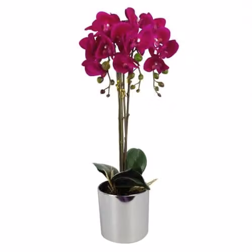 Leaf Design UK Realistic Artificial Potted Orchid Flower Display in Dark Pink and Silver, Height: 52 cm