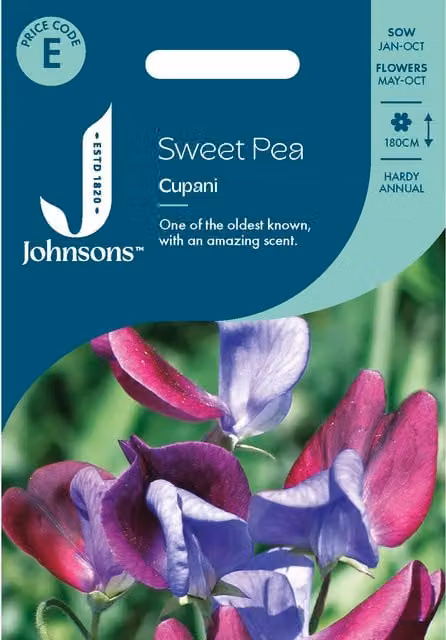 Johnsons Seeds Purple Cupani Sweet Pea Flower Seeds for Spring and Autumn Planting