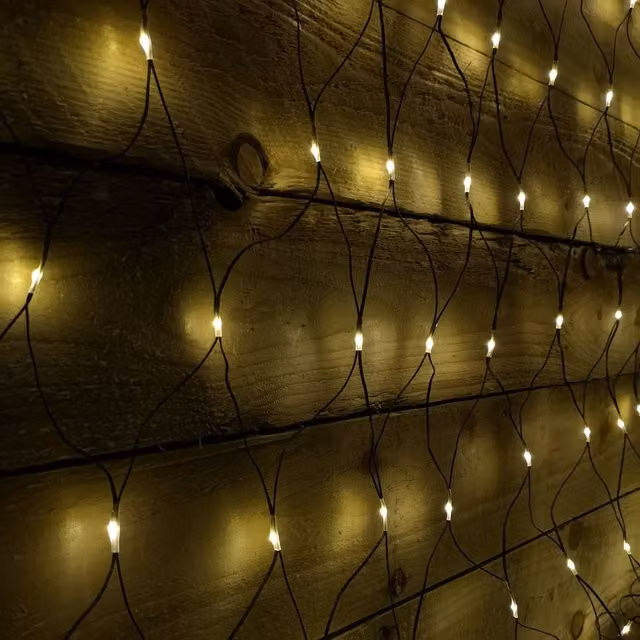 Premier Decorations Warm White Multi Action LED Christmas Net Window Light