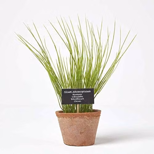 Homescapes Artificial Chives in a Green Ceramic Terracotta Pot