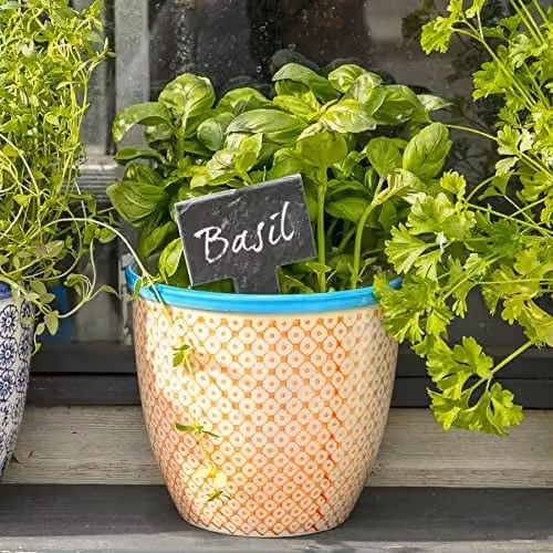 Nicola Spring Hand Printed Floral Ceramic Plant Pots, Orange and Blue, Pack of 6, W/D/H: 14 x 14 x 12.5 cm – 2