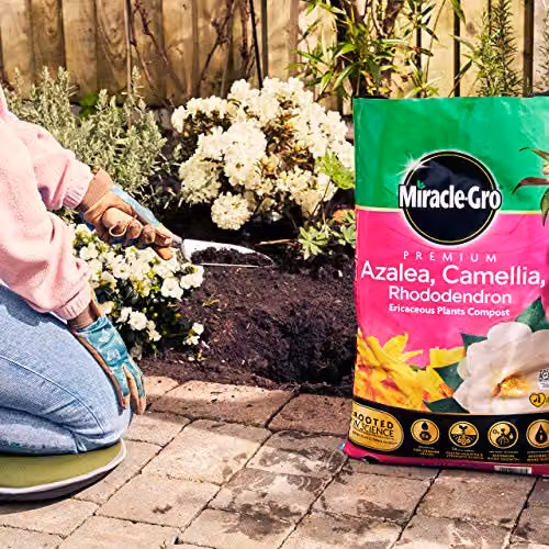 Miracle-Gro Premium Ericaceous Compost for Azaleas, Camellias and Rhododendrons, 40 l – 2