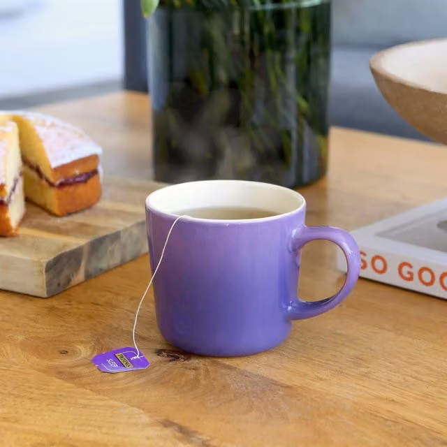 Argon Tableware Purple New Bone China Mug, 330ml
