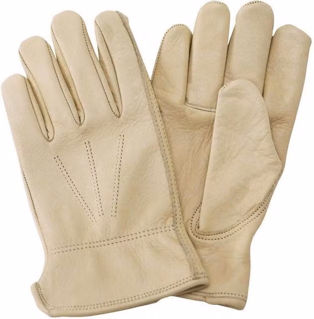 Kent & Stowe Women's Luxury Leather Water Resistant Gloves, Medium, Beige