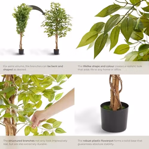 tectake Artificial Ficus Tree with Real Wood Trunk and Green Leaves, Height: 160 cm – 3