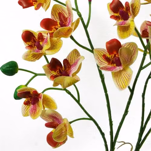 Leaf Design UK Pink and Yellow Artificial Orchid in a Black Ceramic Planter, Height: 43 cm – 4