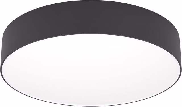 Loops Modern Black LED Ceiling Light with Included Bulb
