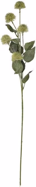 Hill Interiors Green Globe Thistle Artificial Flower Spray