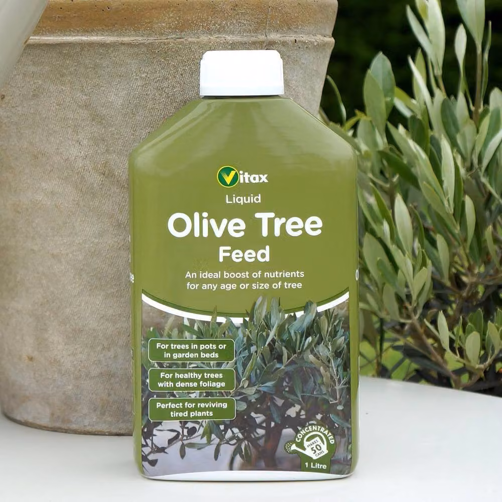 Vitax Olive Tree Concentrated Liquid Feed, 1 l, Green – 3