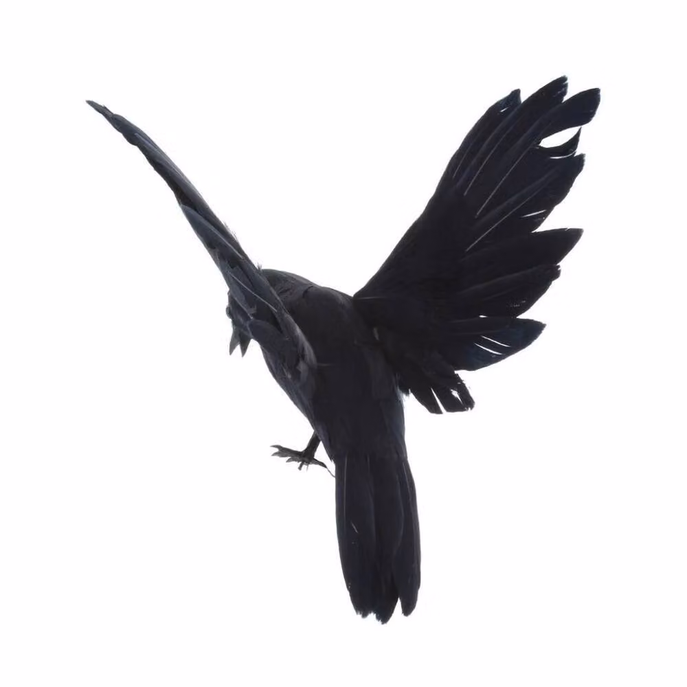 SPETLEK Realistic Artificial Woodland Black Crows – 2
