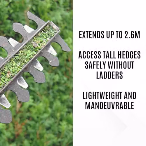 Cordless Long Reach Pole Hedge Trimmer with 420mm Blade and 16mm Teeth in Orange, including 20v Rechargeable Battery and Quick Charger – 4