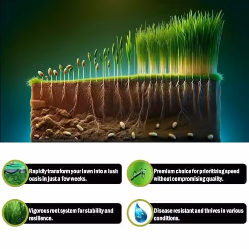 PDL Pegdev Fast Growing Grass Seed for a Green Lawn, 2.5kg – 3
