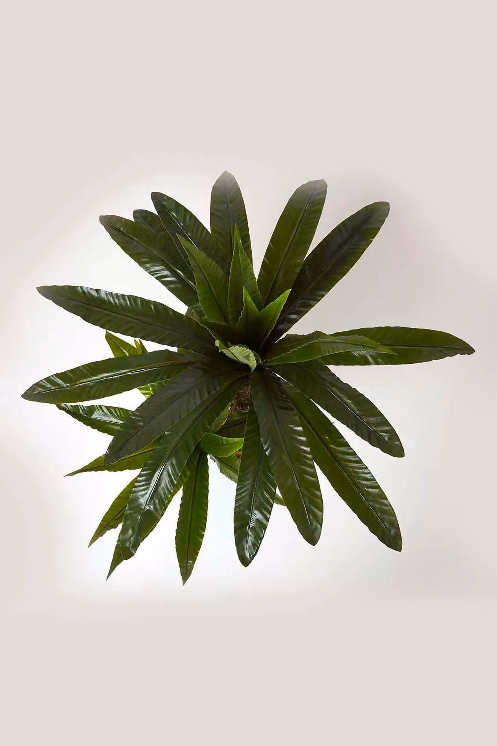 Homescapes Artificial Bird's Nest Fern in Green Pot, Height: 120 cm – 2