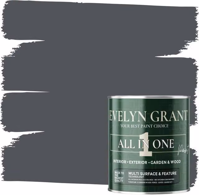 Evelyn Grant All-In-One Multi Surface Indoor and Outdoor Matt Dispersion Paint, Anthracite Grey, 5 l