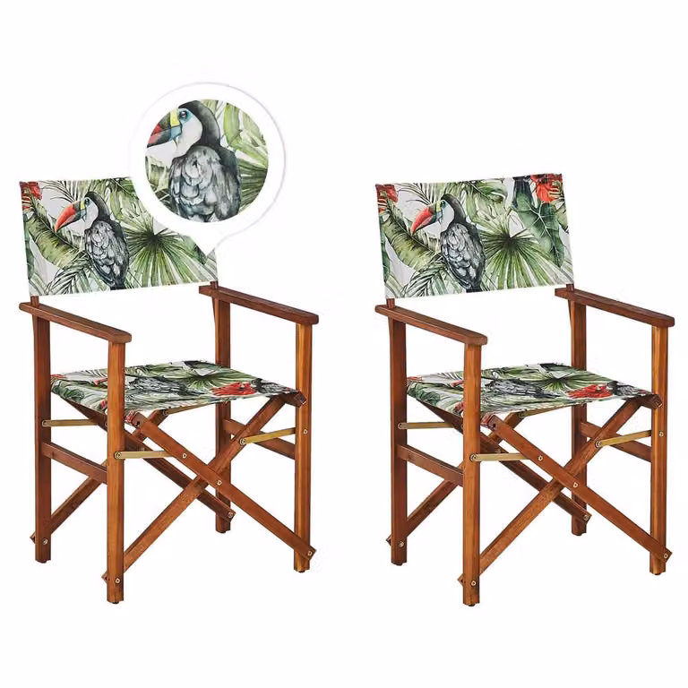 Wyld Haus Set of 2 Acacia Wood Director's Chairs with Toucan Animal Print in Dark Wood and Multicolour