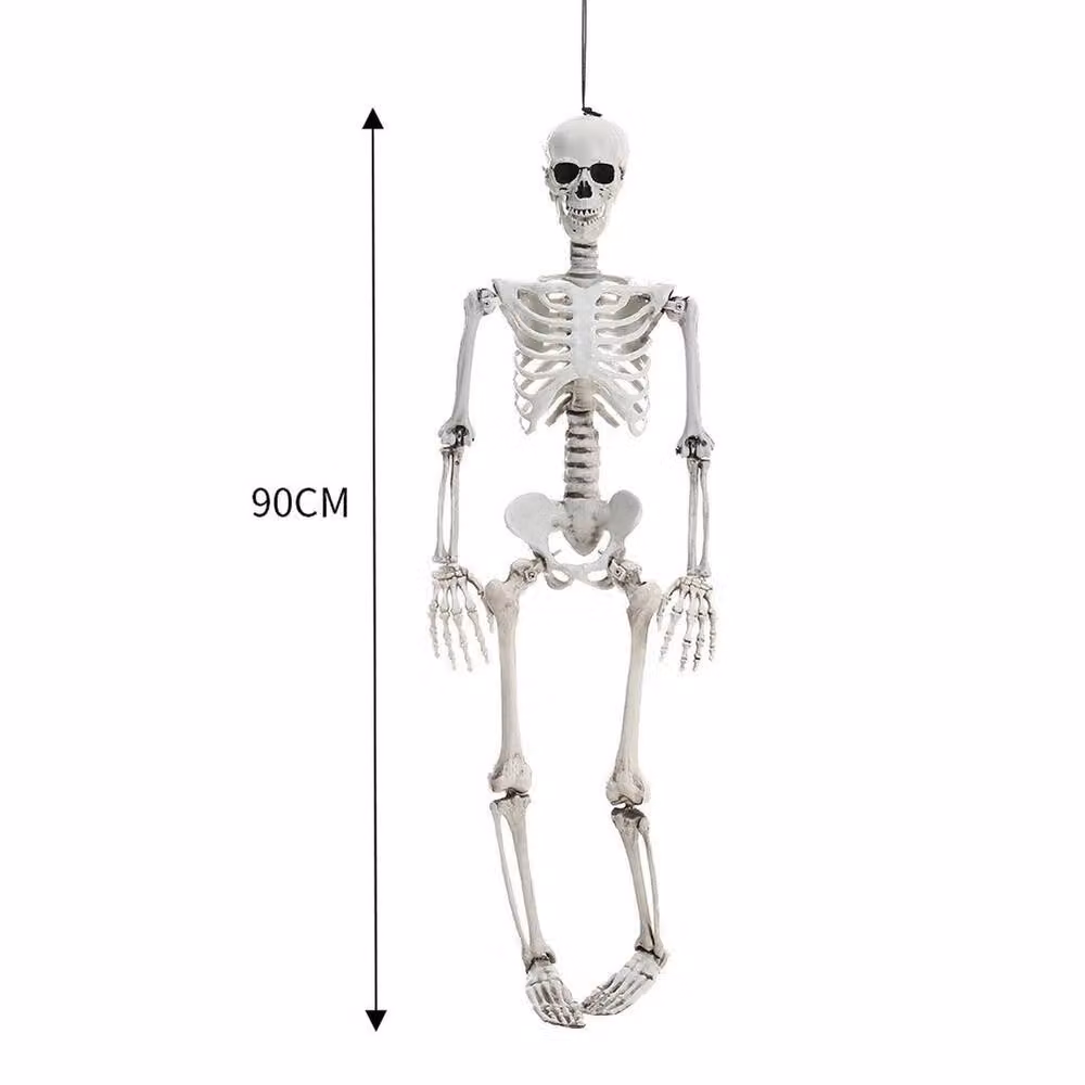 FLAVORA Full Size Posable Human Skeleton Halloween Decoration in White, Height: 90 cm – 2