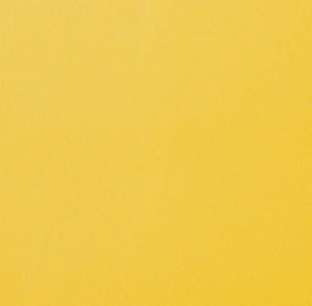 Primrose Awnings Replacement Awning Cover Fabric with Scalloped Valance in Bright Yellow, W 5 m x D 3 m