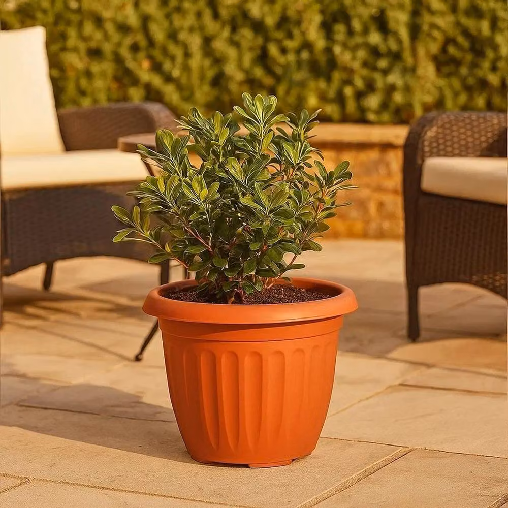 Kelvenix Round Athens Planter Tub in Brown, Diameter: 30 cm – 3