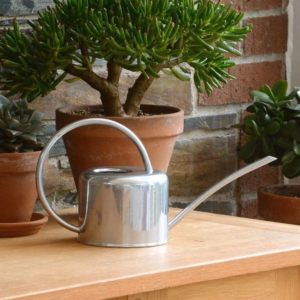 Kelvenix Indoor Watering Can in Silver Galvanised Steel with Short Spout – 3