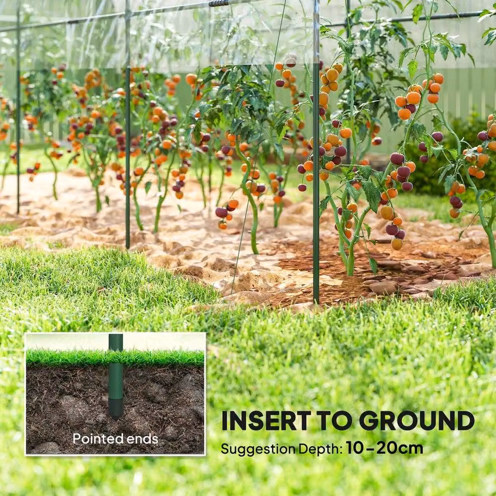Kelvenix Transparent Tomato Greenhouse with Top Tap and Plant Stakes for Vegetable Gardens – 3