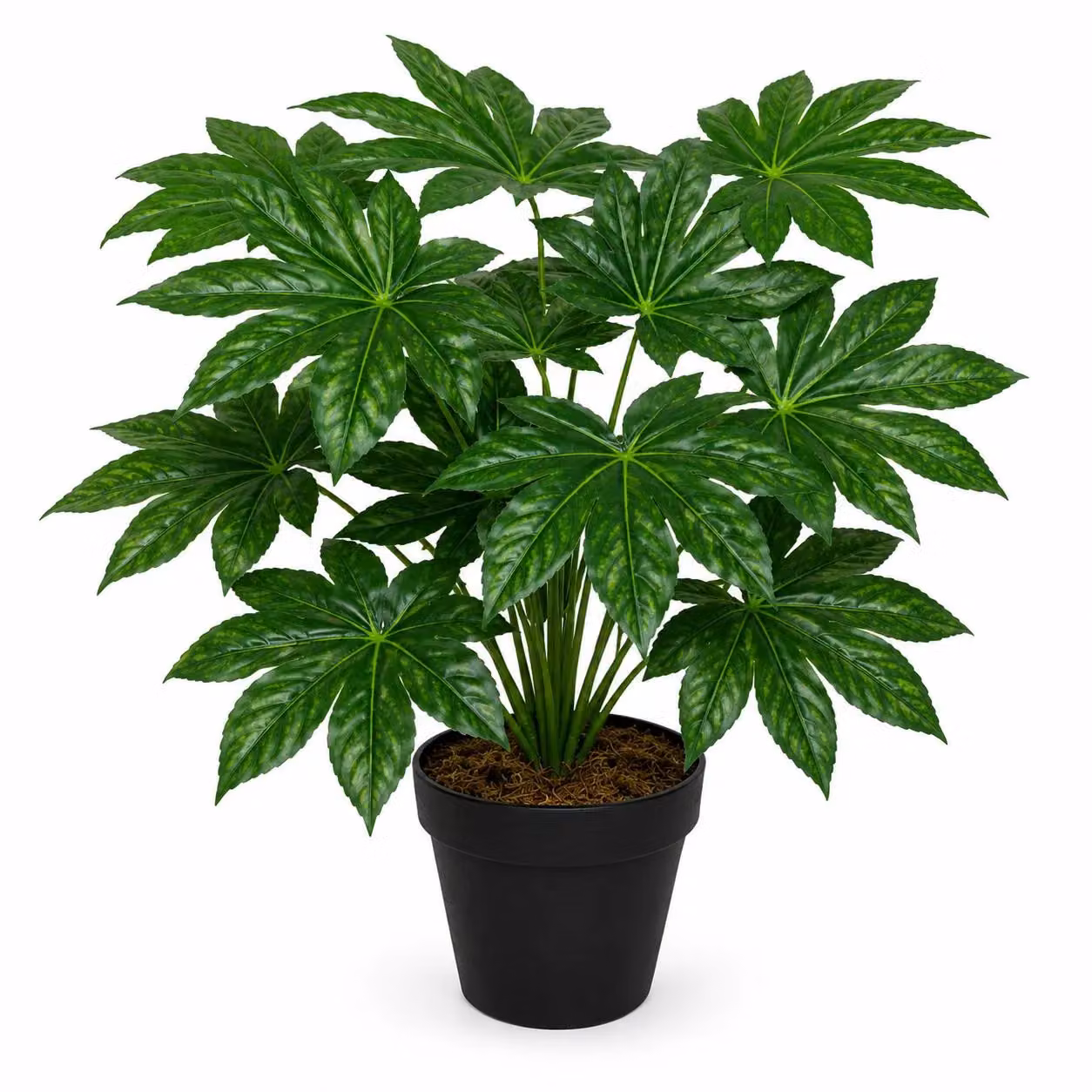 Leaf Design UK Realistic Large Artificial Aralia Foliage Plant in Green with Pot, Height: 60 cm – 4