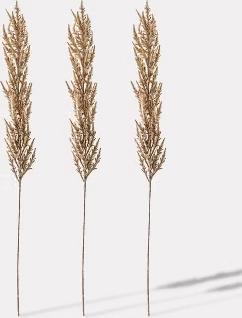 Gallery Home Set of 3 Artificial Boho Pampas Grass Single Stems in Beige