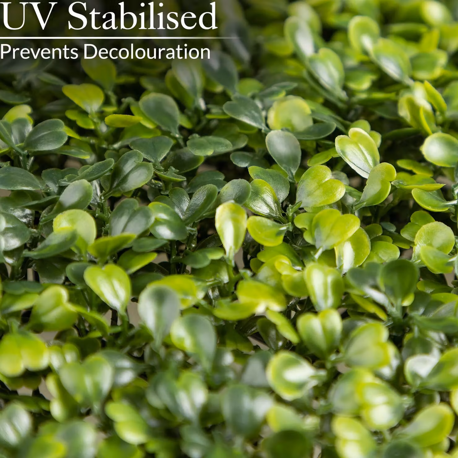Christow Artificial Boxwood Living Wall Panels Green, 4 x 50 cm – 3