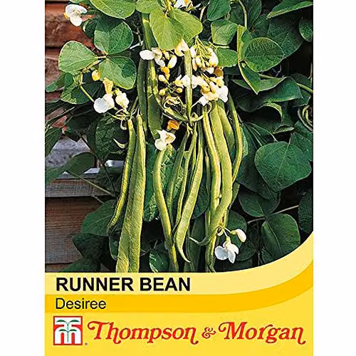 Thompson and Morgan Desiree Runner Bean Seeds, 35 Seeds per Packet – 2