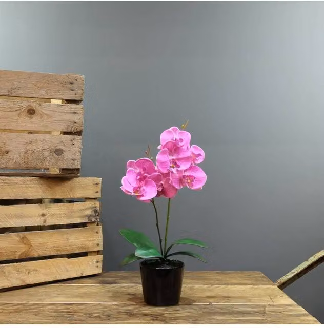 KDMD Artificial Pink Aragon Phalaenopsis Orchid in a Ceramic Planter