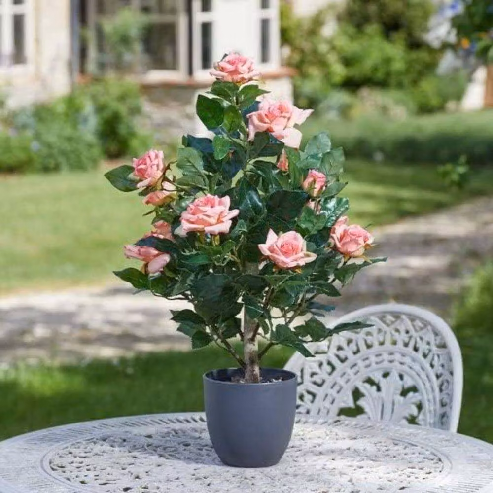 Marco Paul Pink Artificial Rose Potted Plant, Height: 60 cm – 6